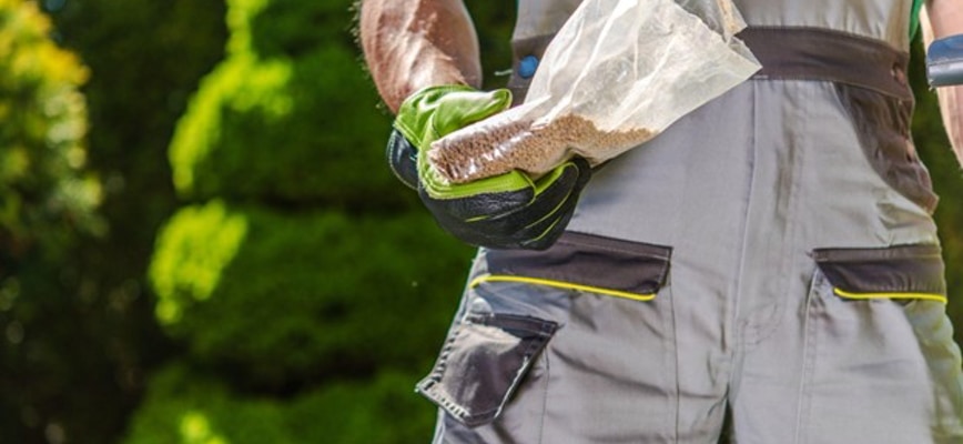 Aeration vs. Overseeding: What is the Difference?
