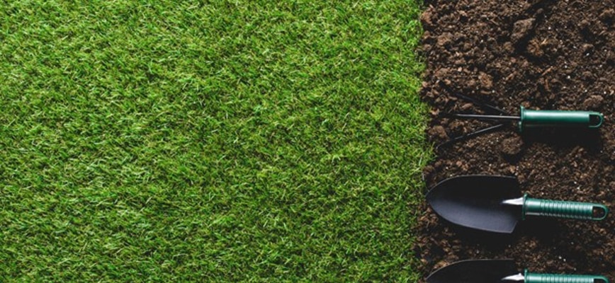 Signs Your Lawn Needs Aeration and Overseeding