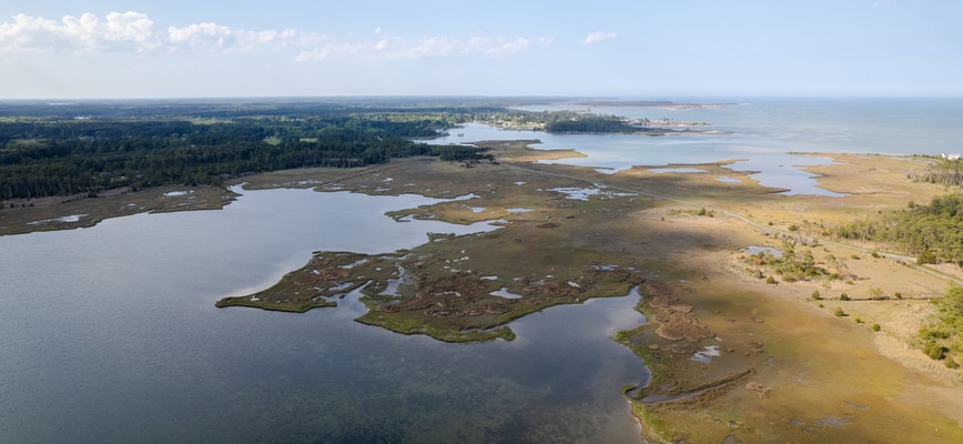 Fall Fertilization: How Agrolawn Feeds Your Lawn Without Polluting the Bay in Maryland