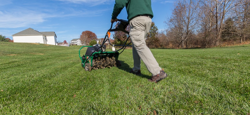 10 Methods to Help Your Lawn Recover from Heat Stress