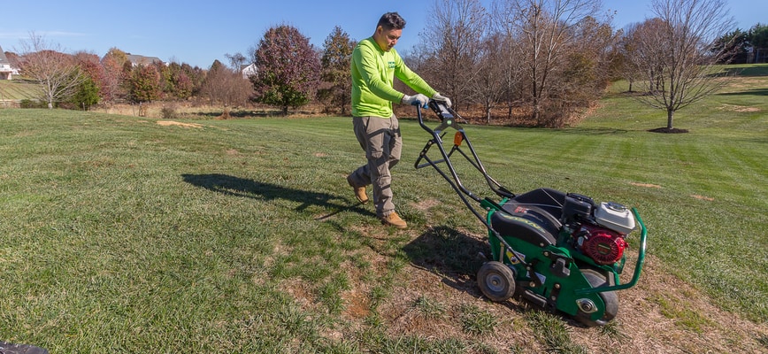 Repair Bare Spots While Overseeding