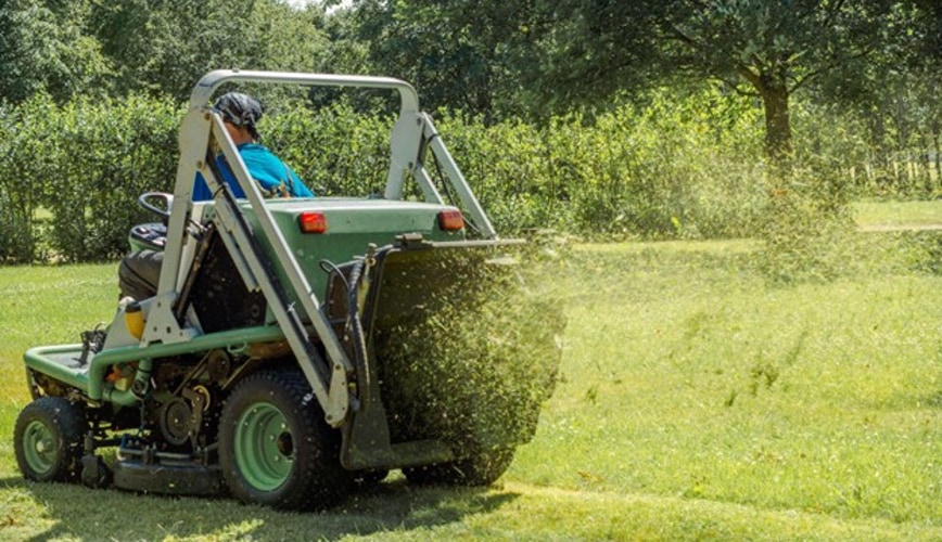 Additional Growth-Boosting Strategies for Maryland Lawns