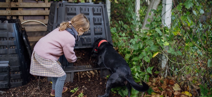 How to Mulch Leaves for a Healthier Fall Lawn in 3 Steps