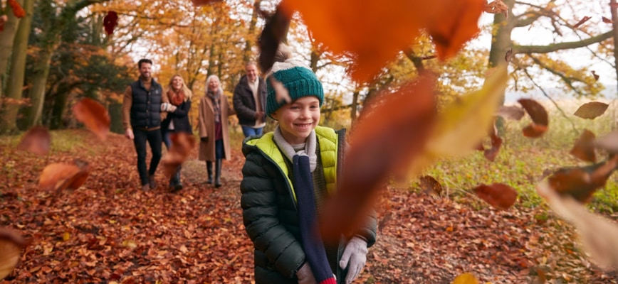 Achieve a Lovely Fall Lawn with Agrolawn Lawn Care Program in Maryland