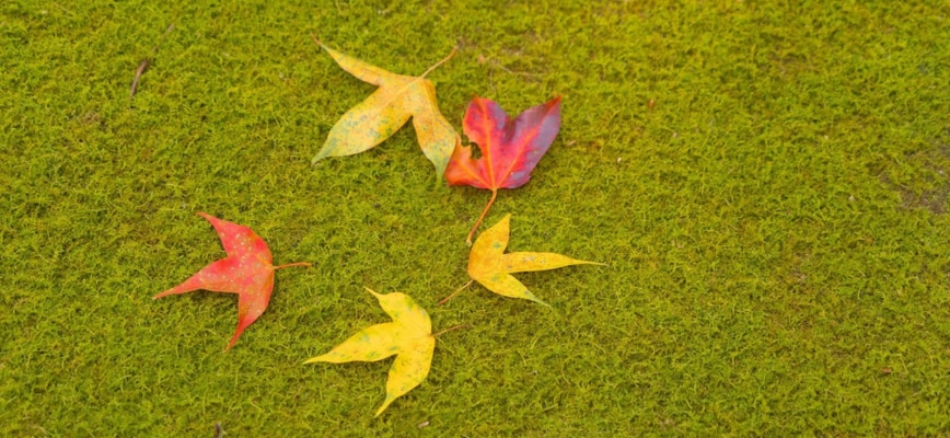 Why Fall is Maryland Second Spring