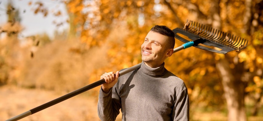 Maximizing Your Maryland Autumn with Fall Lawn Care Services