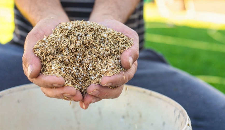 Fall Seeding Services