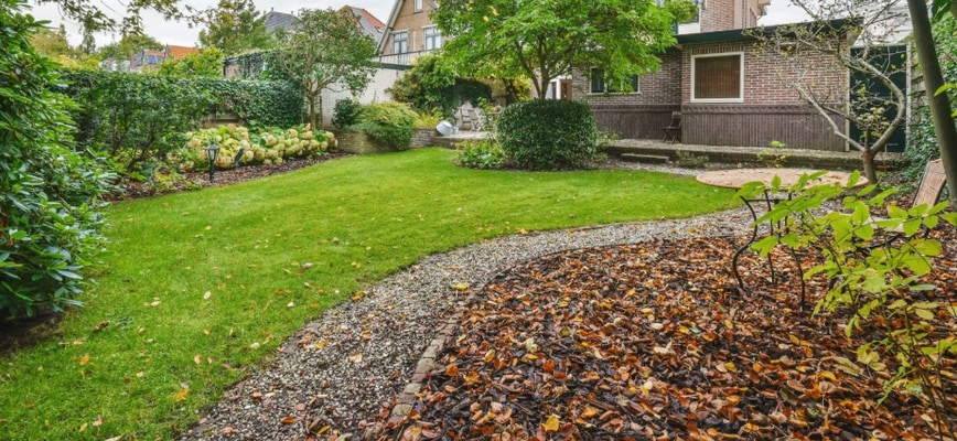 Trust in Agrolawn Now, Enjoy a Lush Lawn Later