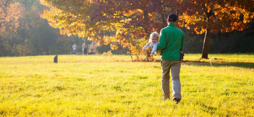 Why Fall is the Most Important Season for Lawn Growth in Maryland