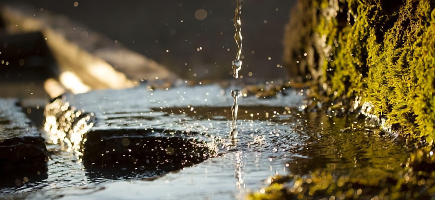 Smart Winter Lawn Care Science for Homeowners: Protecting the Chesapeake Bay at Every Step