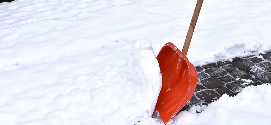 Practical Ways to Protect Your Lawn in Winter