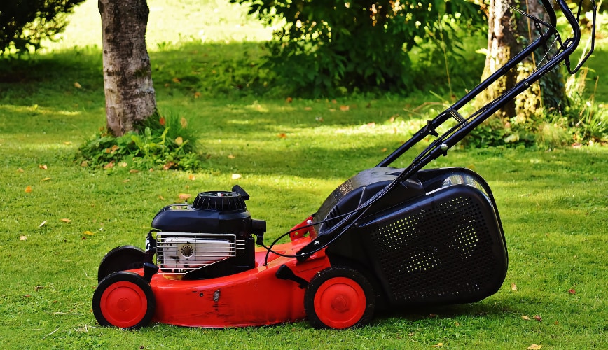 When Should You Mow for the First Time?