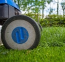 First Mow of the Season: Height, Timing & Mistakes to Avoid