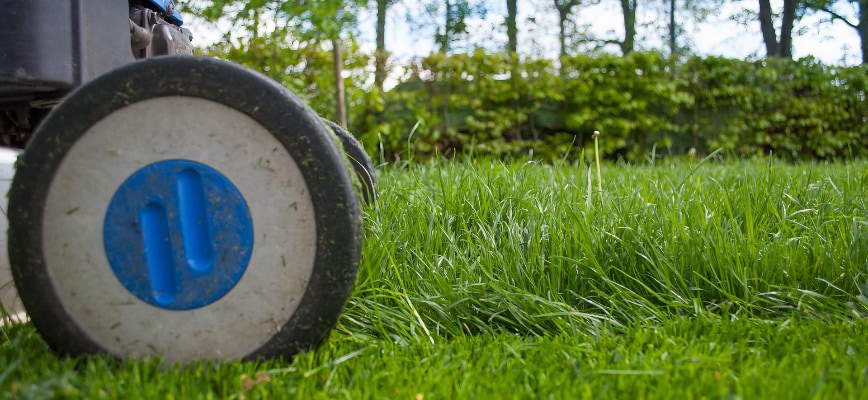 First Mow of the Season: Height, Timing & Mistakes to Avoid