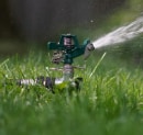 Spring Lawn Watering Mistakes Maryland Homeowners Make (and How to Fix Them)