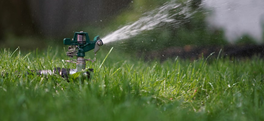Spring Lawn Watering Mistakes Maryland Homeowners Make (and How to Fix Them)