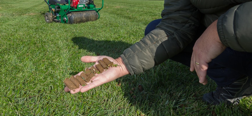 How to Manage Thatch the Right Way
