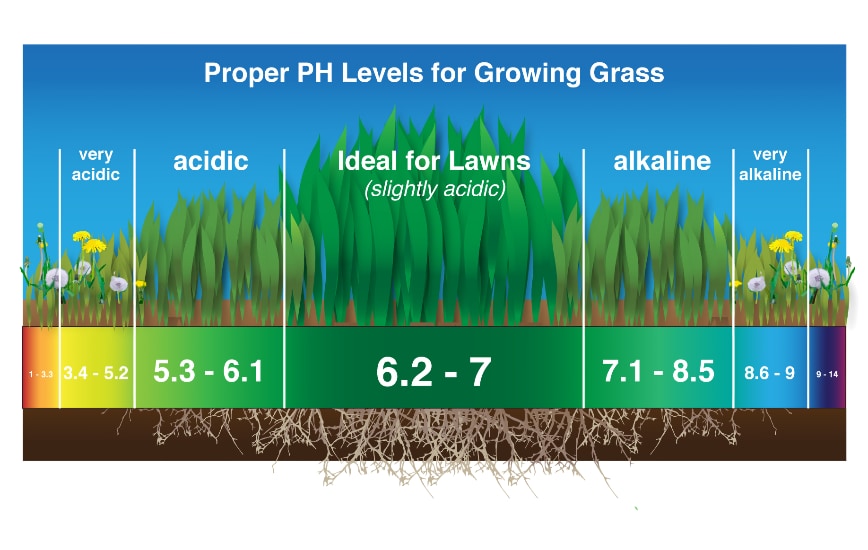 What Is the Ideal Lawn pH?