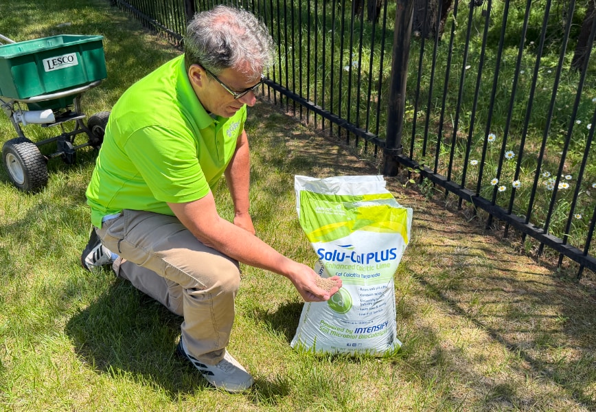 How to Tell If Your Lawn Has a pH Problem