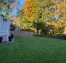 pH Problems: Why Maryland's Soil Often Needs Correction & How Fertilizer Plays a Role