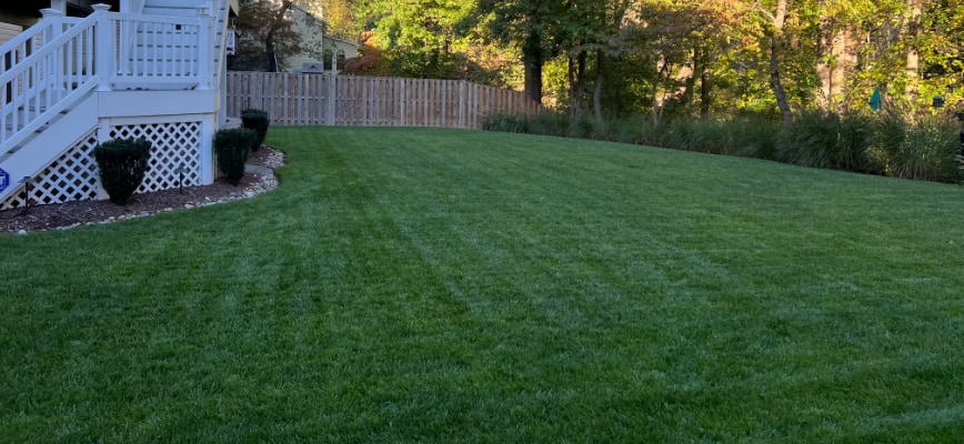 pH Problems: Why Maryland's Soil Often Needs Correction & How Fertilizer Plays a Role