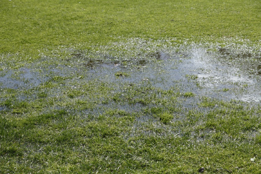 Water pooling on a lawn instead of soaking into compacted soil