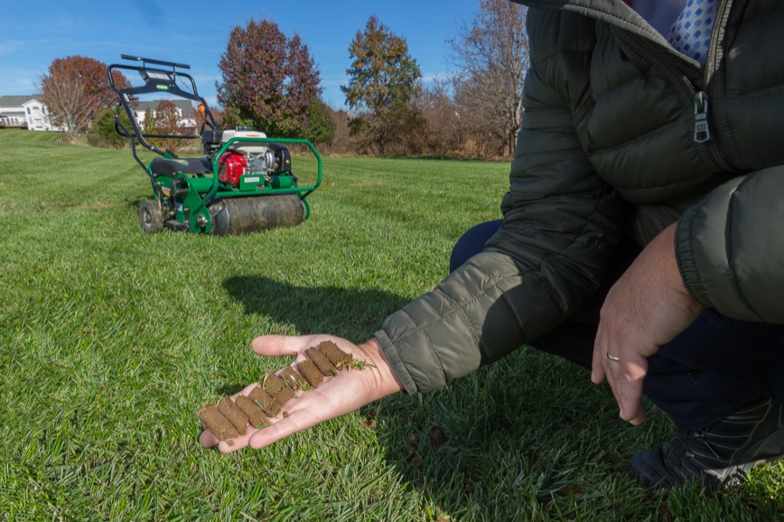 Soil plugs pulled from a lawn during core aeration