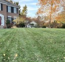 Why August Is the Decision Month for Fall Lawn Recovery in Maryland