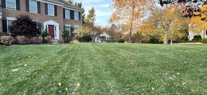 Why August Is the Decision Month for Fall Lawn Recovery in Maryland