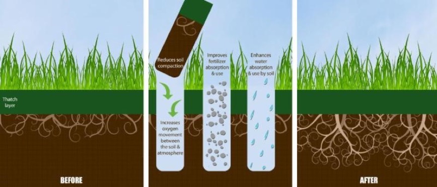 Before and after diagram showing how core aeration reduces compaction and improves oxygen, fertilizer, and water absorption