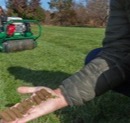 Why Core Aeration Improves Nutrient Uptake More Than Any Other Lawn Service