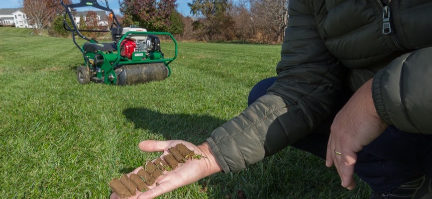 Why Core Aeration Improves Nutrient Uptake More Than Any Other Lawn Service