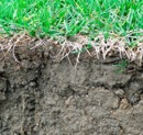 Soil Compaction in Maryland Suburbs: Causes, Prevention & Long-Term Fixes