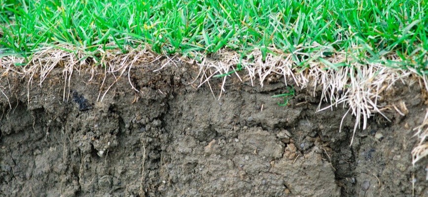 Soil Compaction in Maryland Suburbs: Causes, Prevention & Long-Term Fixes