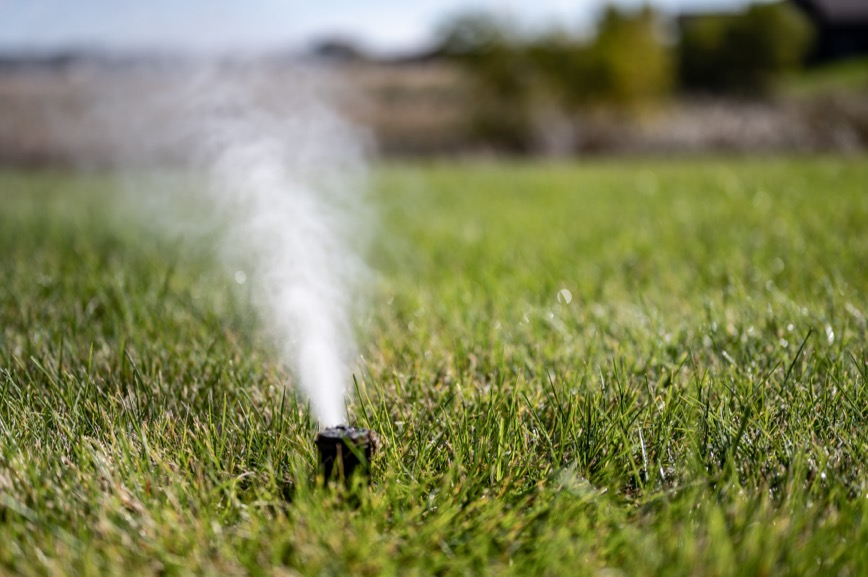 Close-up of a pop-up irrigation sprinkler head spraying water across a lawn