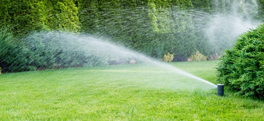Fall Watering Guidelines: How Much Your Lawn Really Needs Before Winter