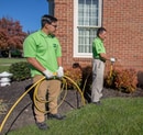 AgroShield: Agrolawn's #1 Solution for Preventing Ant and Spider Invasions in Maryland and Virginia