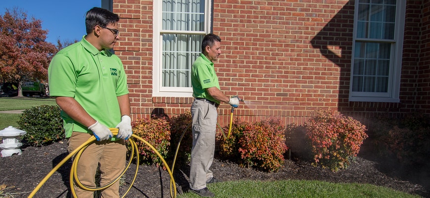 AgroShield: Agrolawn's #1 Solution for Preventing Ant and Spider Invasions in Maryland and Virginia