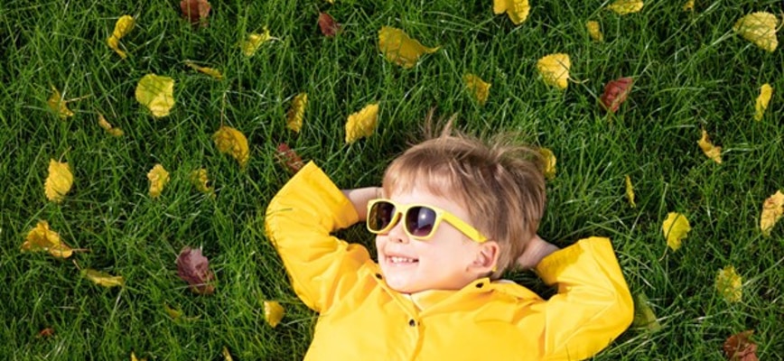 Schedule Your Fall Seeding Ahead of Time With Agrolawn!