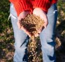 Fall Seeding Is Best: Why Agrolawn Doesn't Seed Lawns In The Spring