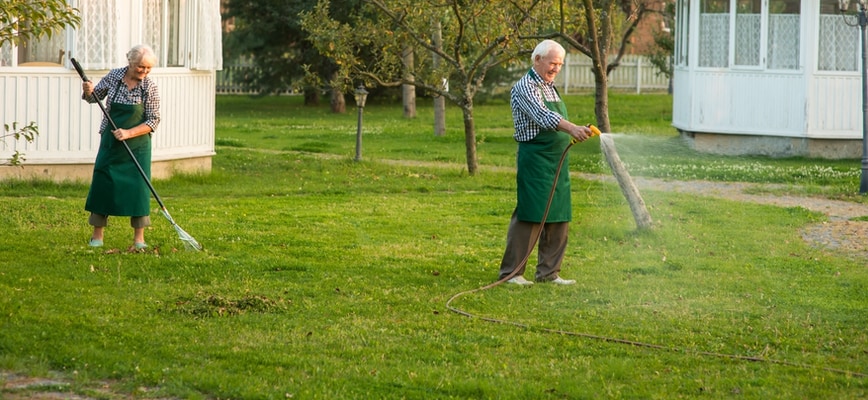 Agrolawn Grub-Preventing Lawn Care Options