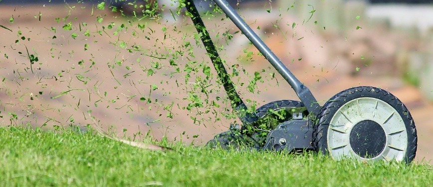 Lawn Tips