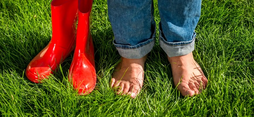 The Damaging Impact of Moss on Your Lawn