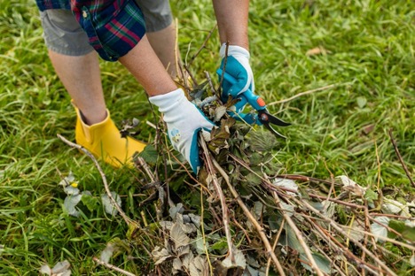 Debris cleanup