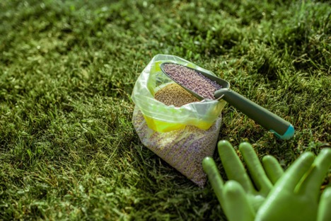 Reseeding bare spots