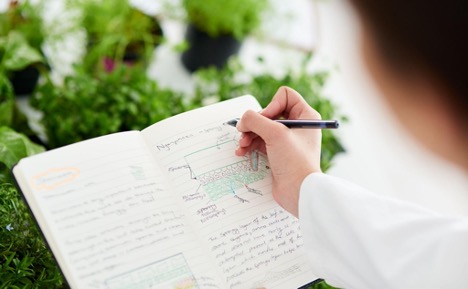 Plan for fertilization
