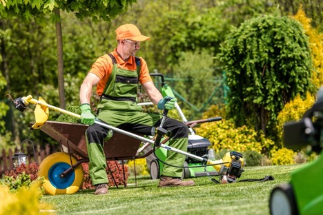 When to Call in the Pros for Lawn Care in Maryland and Virginia