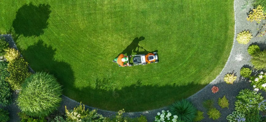 Prepping Your Lawn for Spring: The Early Steps to a Lush, Green Yard