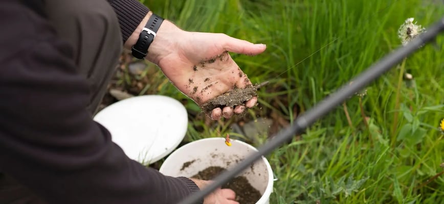 Understanding What Your Grass Really Needs This Spring