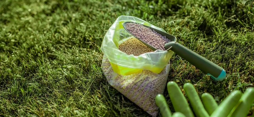 Mid-May: Second Fertilization